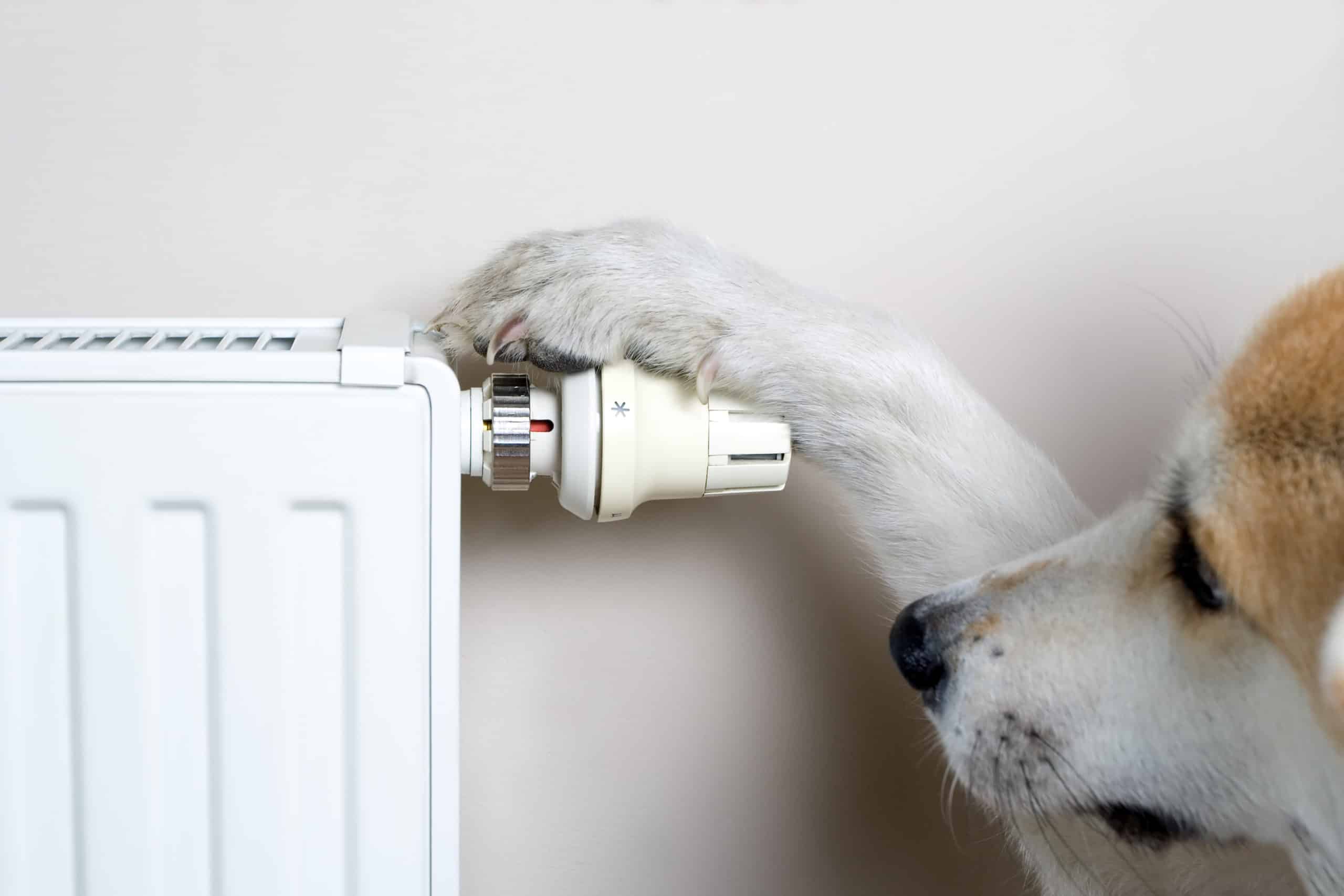 Common Risks Of Indoor Space Heaters risks of indoor space heaters